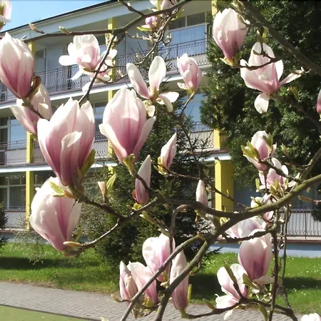Apartment Verano, Sun & Snow